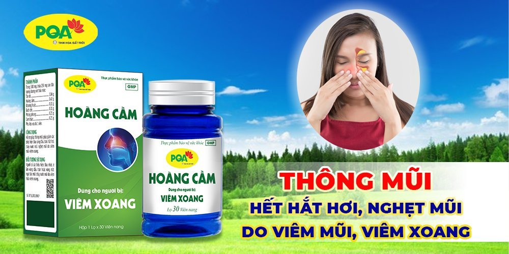 PQA Hoàng Cầm có tốt không? Giá bao nhiêu? Mua ở đâu