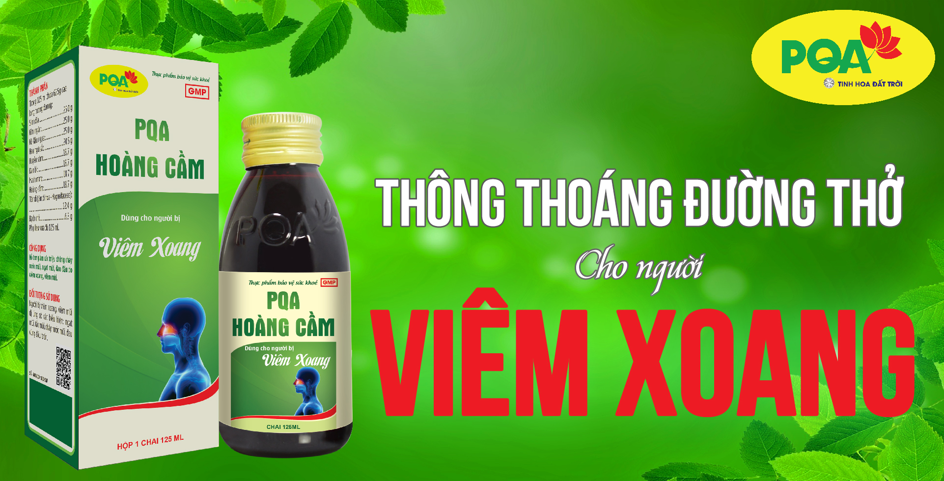 pqa hoàng cầm hỗ trợ điều trị viêm xoang
