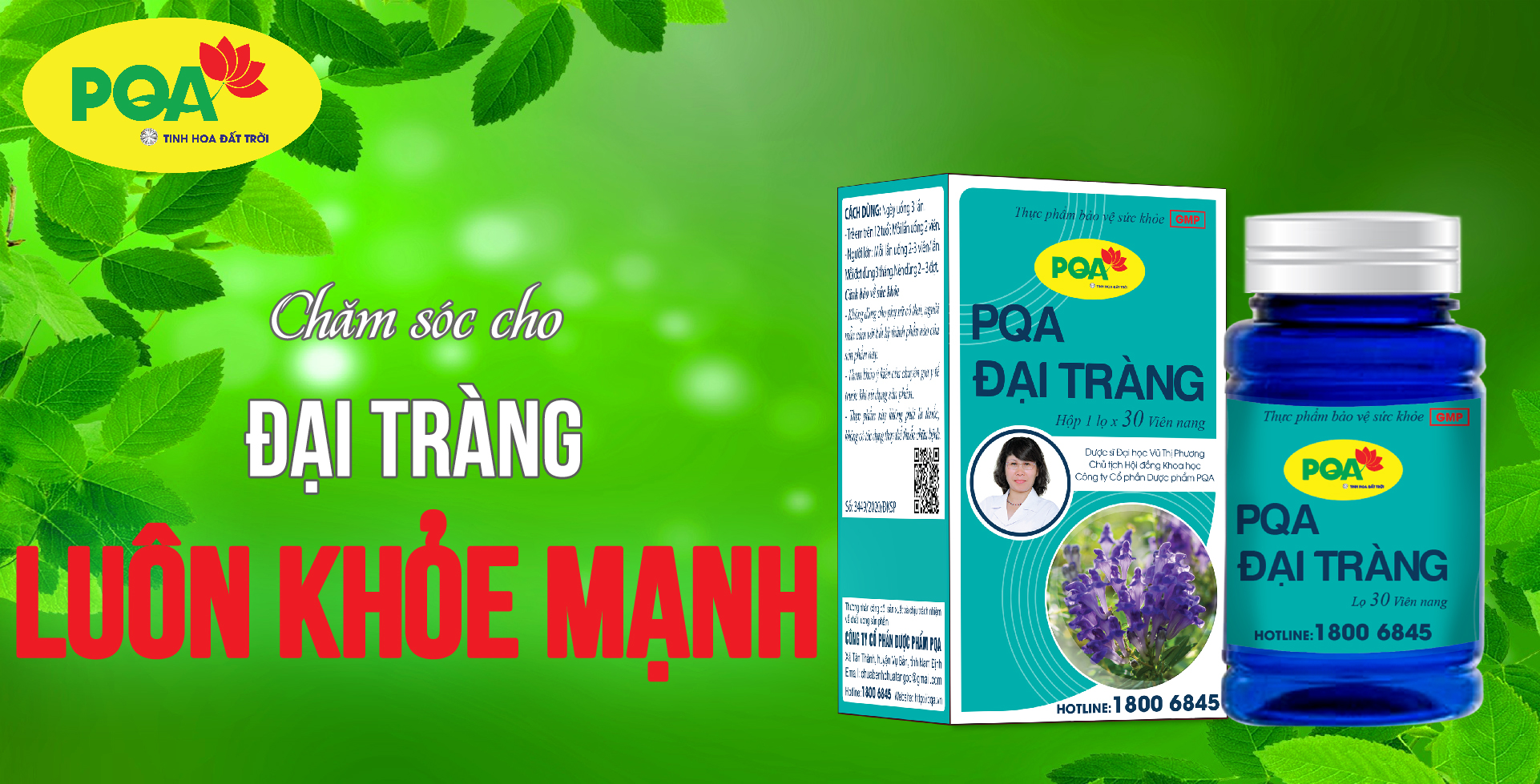 pqa đại tràng viên nang 100 viên